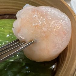 Luk Yuen - Hakaw
