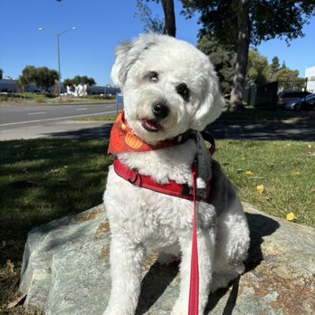 Ipet Grooming & Boarding - Pet Groomers Near Me - Dublin, California