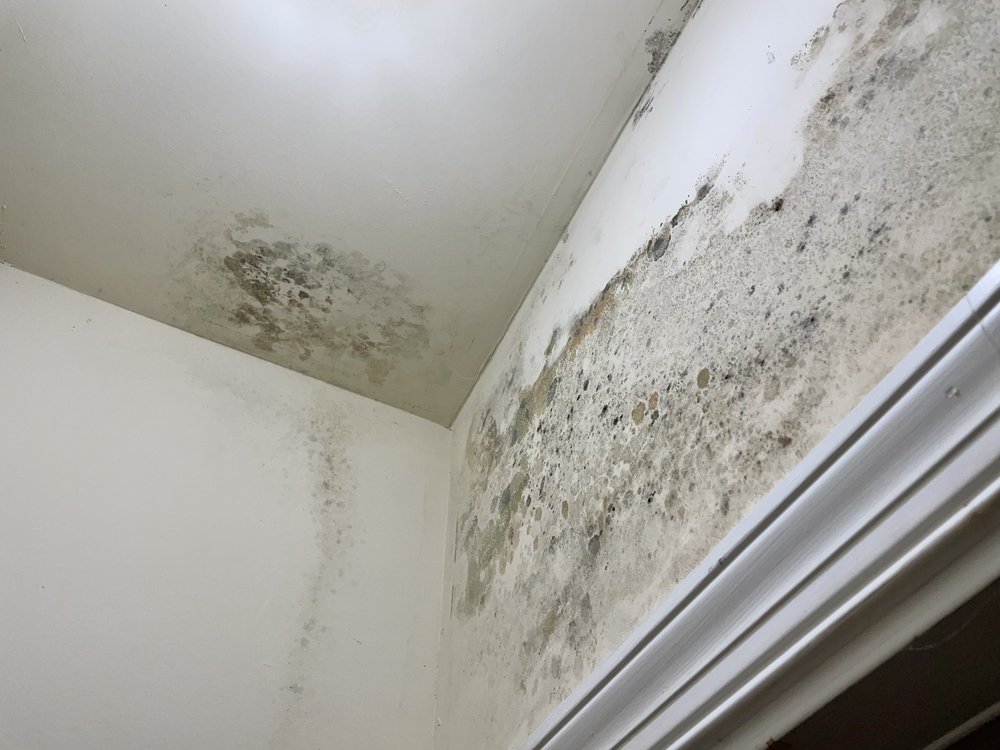 CHESTERFIELD GARDENS APARTMENTS Updated June 2024 2260 Golden