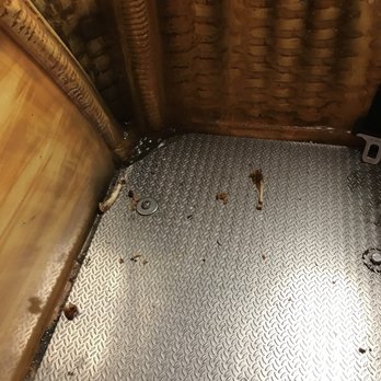 Chuck E. Cheese - Chewed up chicken wings on one of the rides. - Pizza Near Me - Aurora, Colorado