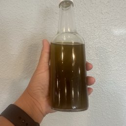Olive oil from Lebanon Olive oil from Lebanon