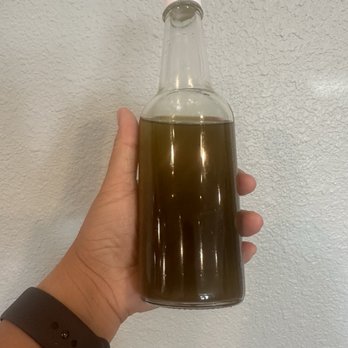Vegan Stops - Olive oil from Lebanon - Vegan Near Me - Garden Grove, California Vegan Stops - Olive oil from Lebanon - Vegan Near Me - Garden Grove, California
