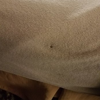 Waterbird Inn - Cigarette burns on the bedding - Hotels Near Me - Chesterton, Indiana Waterbird Inn - Cigarette burns on the bedding - Hotels Near Me - Chesterton, Indiana