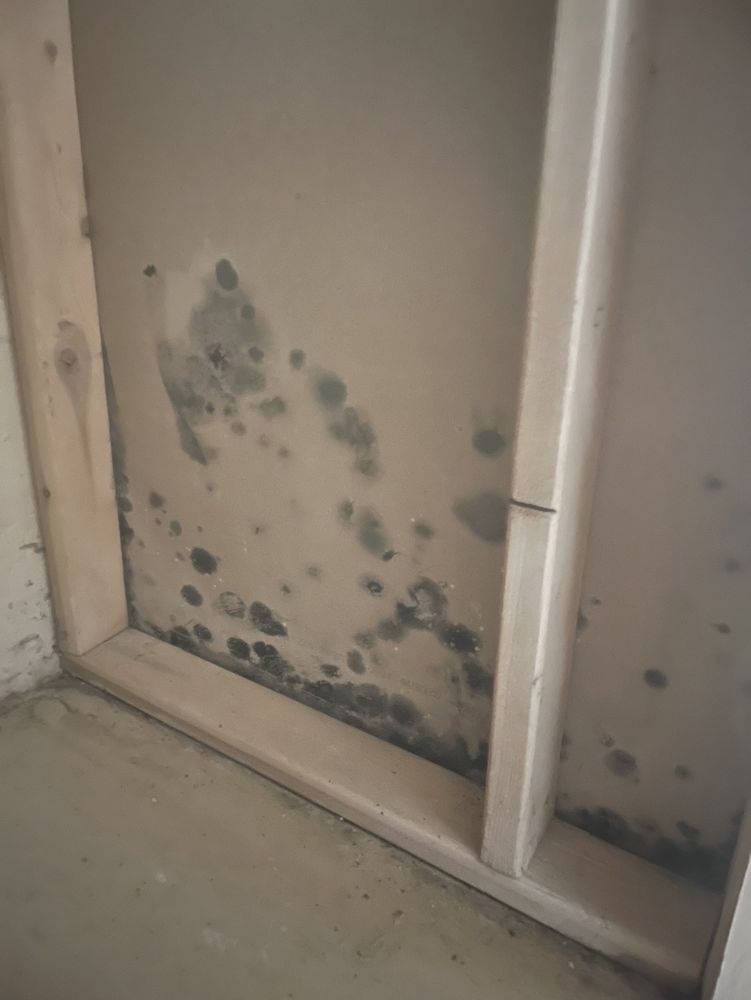 CROWN PROPERTY MANAGEMENT Updated October 2024 18 Photos & 23