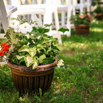 Ambiance Florals & Events - Florists Near Me - Albany, New York