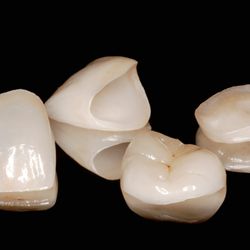 The Dental Lab