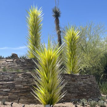 Desert Botanical Garden - Botanical Gardens Near Me - Phoenix, Arizona