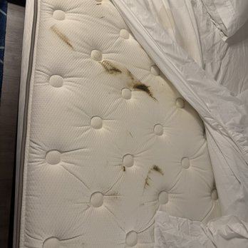 Marriott Knoxville Downtown - Poop and cleaning spray all over the bed. - Hotels Near Me - Knoxville, Tennessee Marriott Knoxville Downtown - Poop and cleaning spray all over the bed. - Hotels Near Me - Knoxville, Tennessee