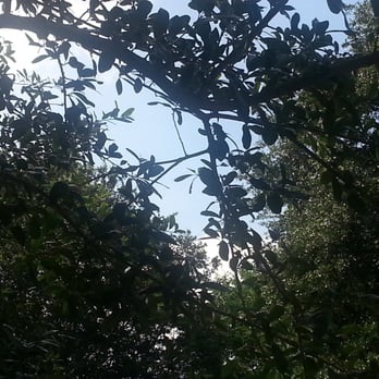Riverside Park - Parks Near Me - Jacksonville, Florida