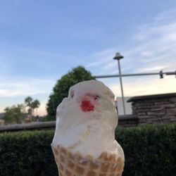Bruster's Real Ice Cream - Cherry vanilla