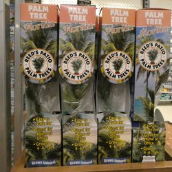 Marketplace News and Sundries - Nice memory of Florida to take home...