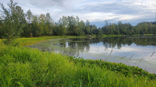 Westchester Lagoon by null