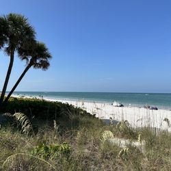 Sunshine Beach - Beach