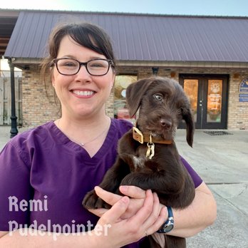 Azalea Lakes Veterinary Clinic - Remi her very first puppy visit with Dr. Tara - Veterinarians Near Me - Baton Rouge, Louisiana