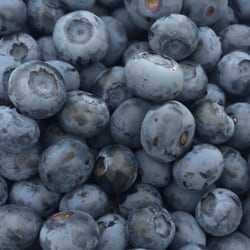 Kern Family Orchard