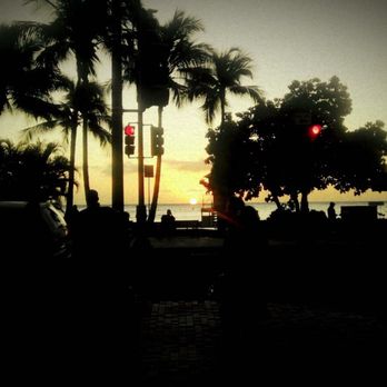 Cheeseburger In Paradise - Burgers Near Me - Honolulu, Hawaii