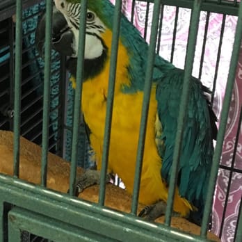For The Birds And More - Pet Groomers Near Me - Bakersfield, California For The Birds And More - Pet Groomers Near Me - Bakersfield, California