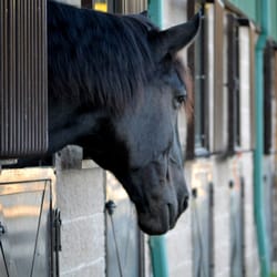 Bergen Equestrian Center