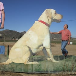 Rick Williams Personal Dog Training