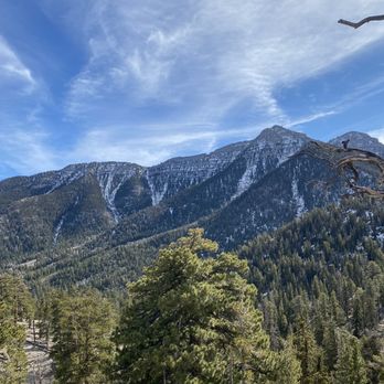 Bristlecone Trail - Hiking Near Me - Mount Charleston, Nevada