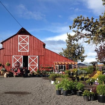 Whistle Stop Farm & Flowers - Whistle Stop Farm & Flowers - Nurseries & Gardening Near Me - Bend, Oregon Whistle Stop Farm & Flowers - Whistle Stop Farm & Flowers - Nurseries & Gardening Near Me - Bend, Oregon