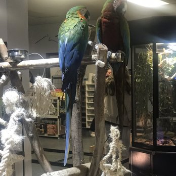 Off the Hook Exotics - Pet Stores Near Me - Ambridge, Pennsylvania