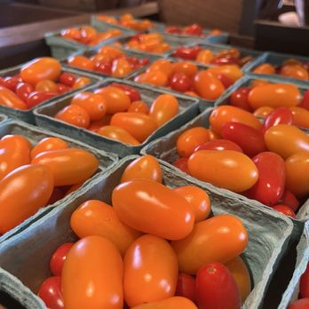 HARVEST MARKET AT FOX POINT FARMS - Updated January 2026 - 145 Photos