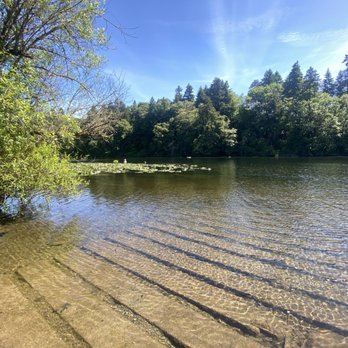 Lake Fenwick Park - Parks Near Me - Kent, Washington