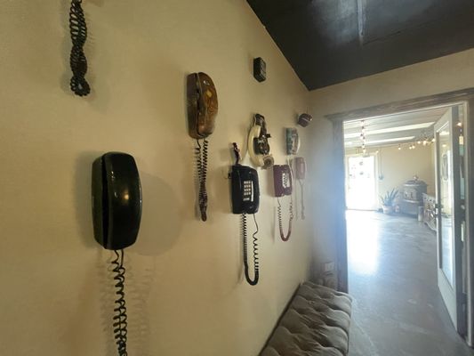 Mint & Serif by null