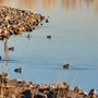 Photo of St. Vrain State Park