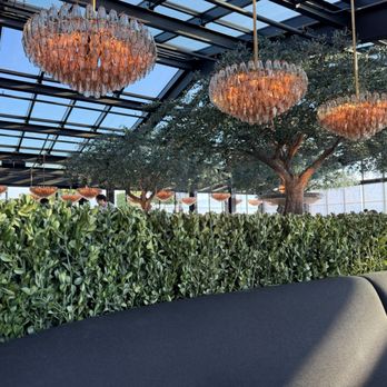 RH Rooftop Restaurant at RH Jacksonville - Tapas/Small Plates Near Me - Jacksonville, Florida RH Rooftop Restaurant at RH Jacksonville - Tapas/Small Plates Near Me - Jacksonville, Florida