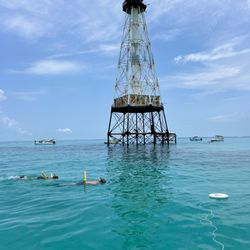 Snorkel alligator reef lighthouse