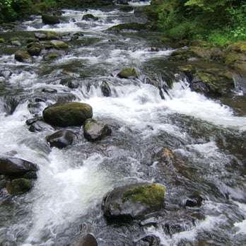 Sweet creek trail - Hiking Near Me - Mapleton, Oregon Sweet creek trail - Hiking Near Me - Mapleton, Oregon