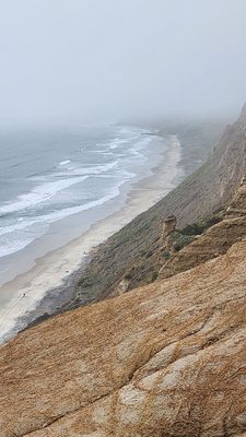 Black's Beach by null