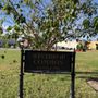 Photo of Winthrop Commons
