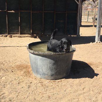 Broken Saddle Riding - Horseback Riding Near Me - Cerrillos, New Mexico