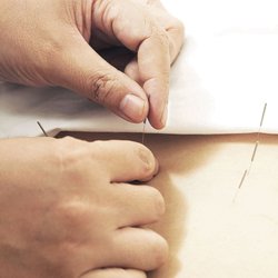 Evergreen Acupuncture Clinic - We specialize in musculoskeletal injuries, emotional, sleep disorders, various allergies and immune diseases.