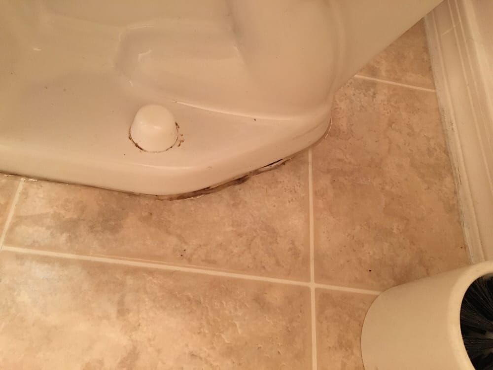 Slide of Athena's Plumbing