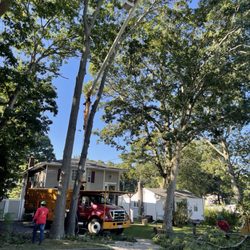 Lyon Tree Service - LYON TREE SERVICE.... Call us for any service.. (631) 737-6347 or 631 796 5093