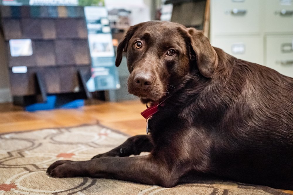 Slide of Triangle Roofing