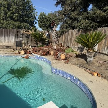 J R Tree Service - Palm removal - Tree Services Near Me J R Tree Service - Palm removal - Tree Services Near Me