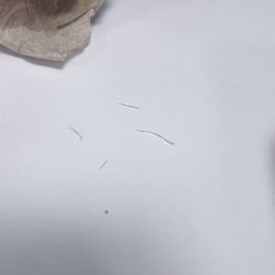 Fruitthies - Plastic that was in my mouth after drinking the smoothie