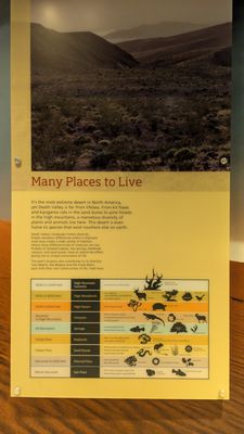 Furnace Creek Visitor Center by null