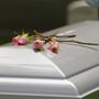 Timothy P Doyle Funeral Home