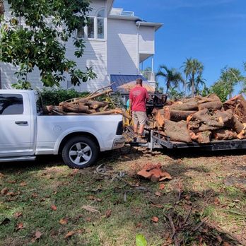 Saunders Property Maintenance - This is the second load from the banyan tree - Tree Services Near Me