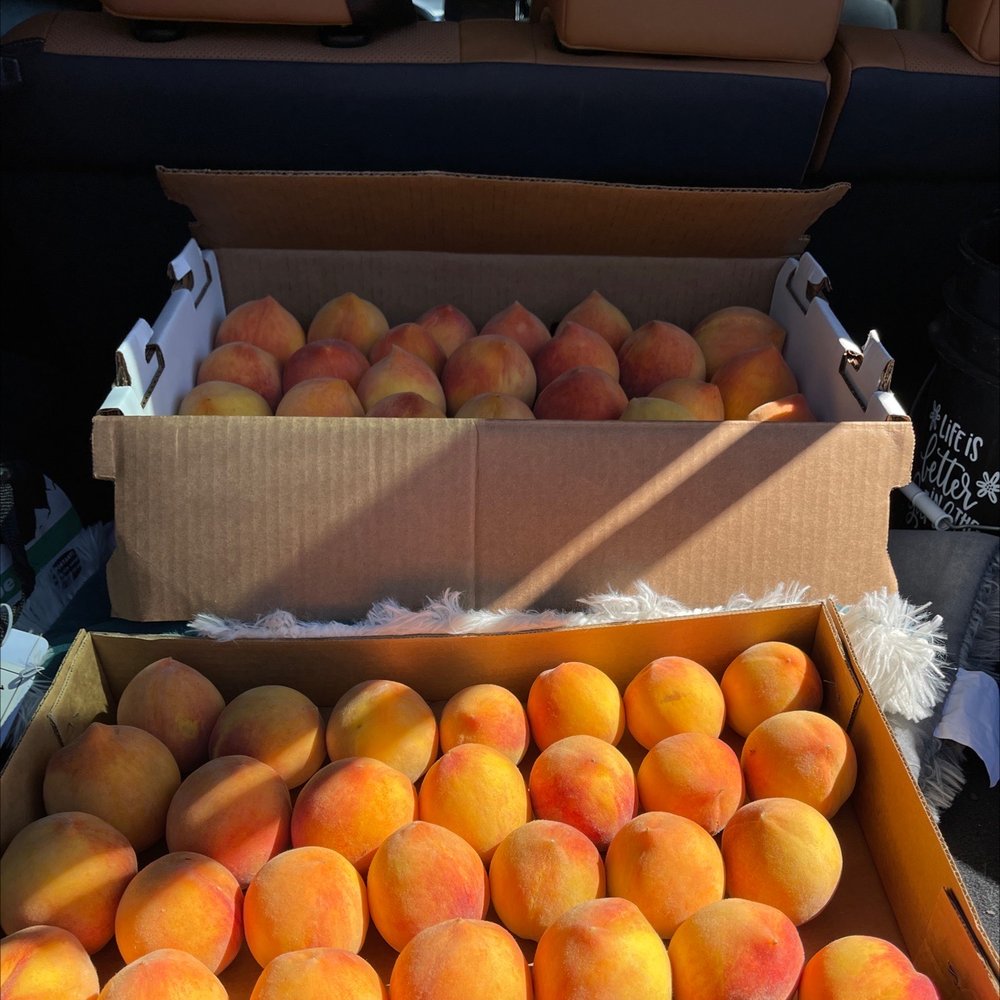 Sodaro Orchards Logo
