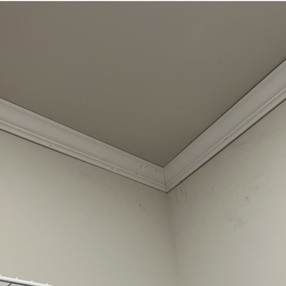 Hi Tech Trim Carpentry - Scuffs all over wall and several nails in cluster. - Carpenters Near Me Hi Tech Trim Carpentry - Scuffs all over wall and several nails in cluster. - Carpenters Near Me