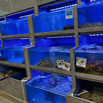 Golden Palace - Seafood tanks - Dim Sum Near Me - Austin, Texas Golden Palace - Seafood tanks - Dim Sum Near Me - Austin, Texas