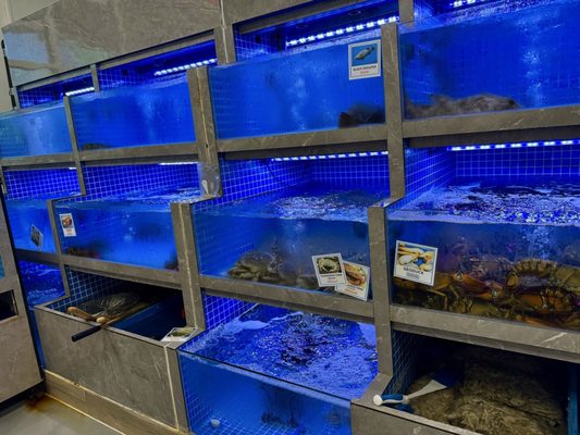 Tian Tian Golden Palace Seafood & Dim Sum Austin by null