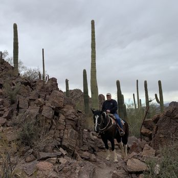 Tucson Mountain Stables - Horseback Riding Near Me Tucson Mountain Stables - Horseback Riding Near Me